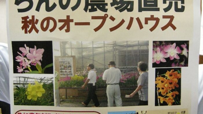 ビオスの丘
