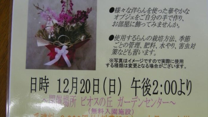 ビオスの丘 お正月寄せ植え教室