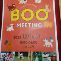 🎄わんちゃんとXmas🎄BOO 🐶MEETING🐶