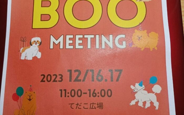 🎄わんちゃんとXmas🎄BOO 🐶MEETING🐶