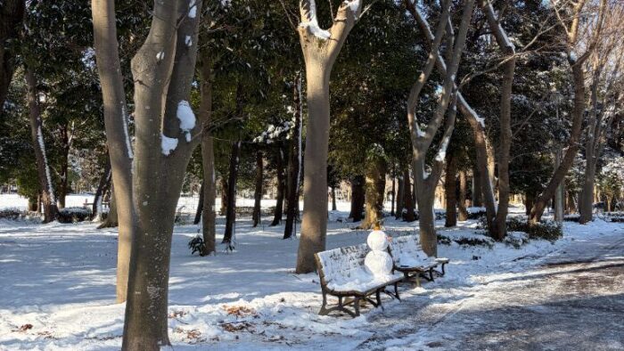 火曜日１１時オンエアーパーソナリティーマコさんから茨木の冬写真が届きました☃