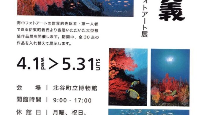 伊藤昭義 海中フォトアート展開催告知